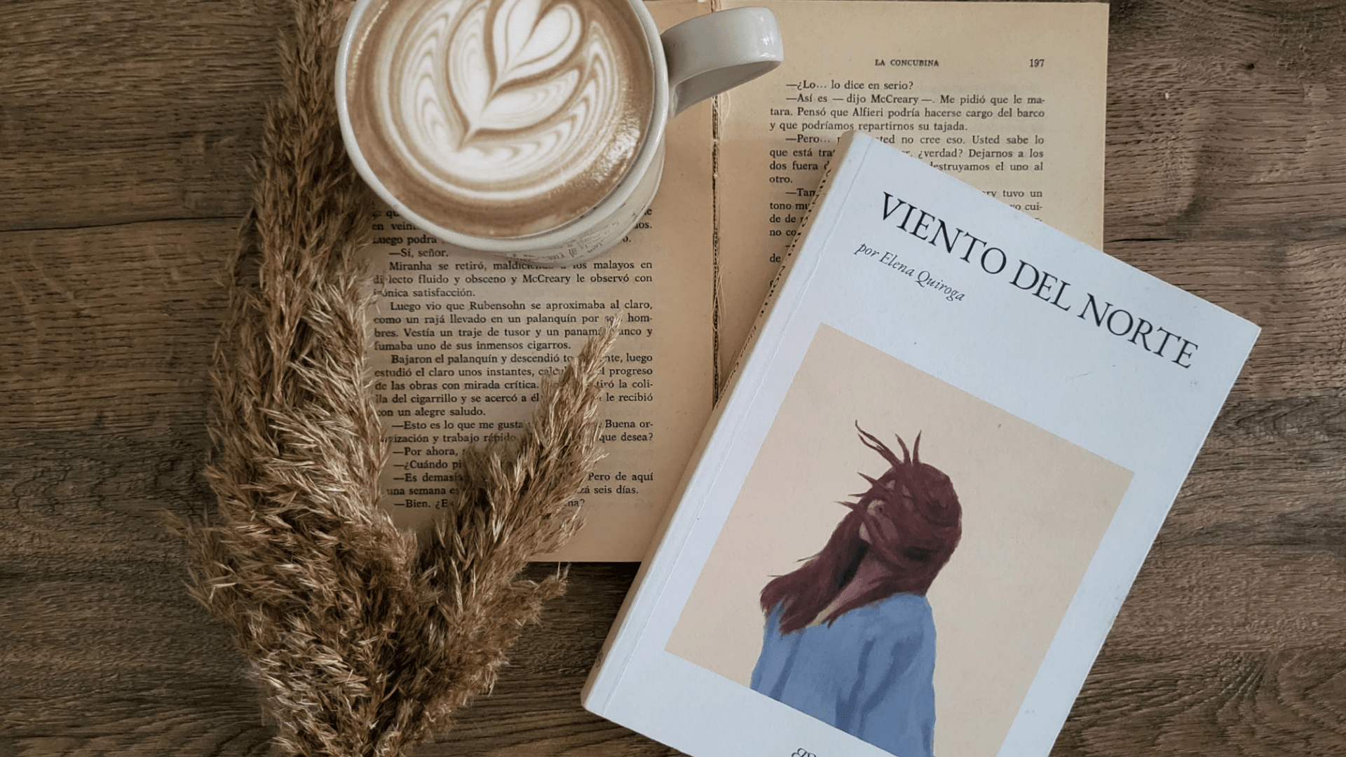 resena literaria viento del norte
